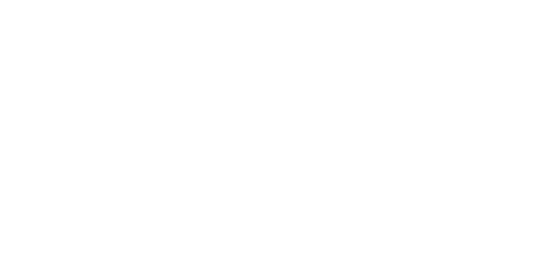 Pajntar logo